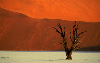 Namibia 1
